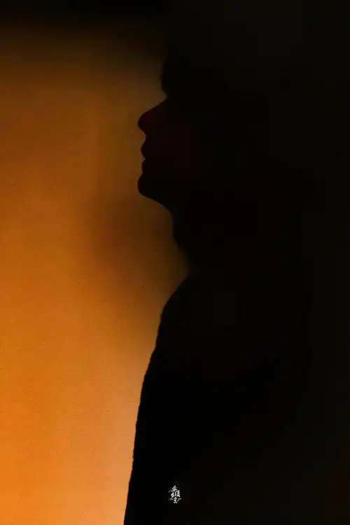 由真维斯剪影图想到"王一博剪影照"合集  p18严格说来不算剪影,但我真