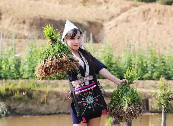 环球旅行家探访云南红河奕车人穿万元服饰插秧以大腿粗壮为美