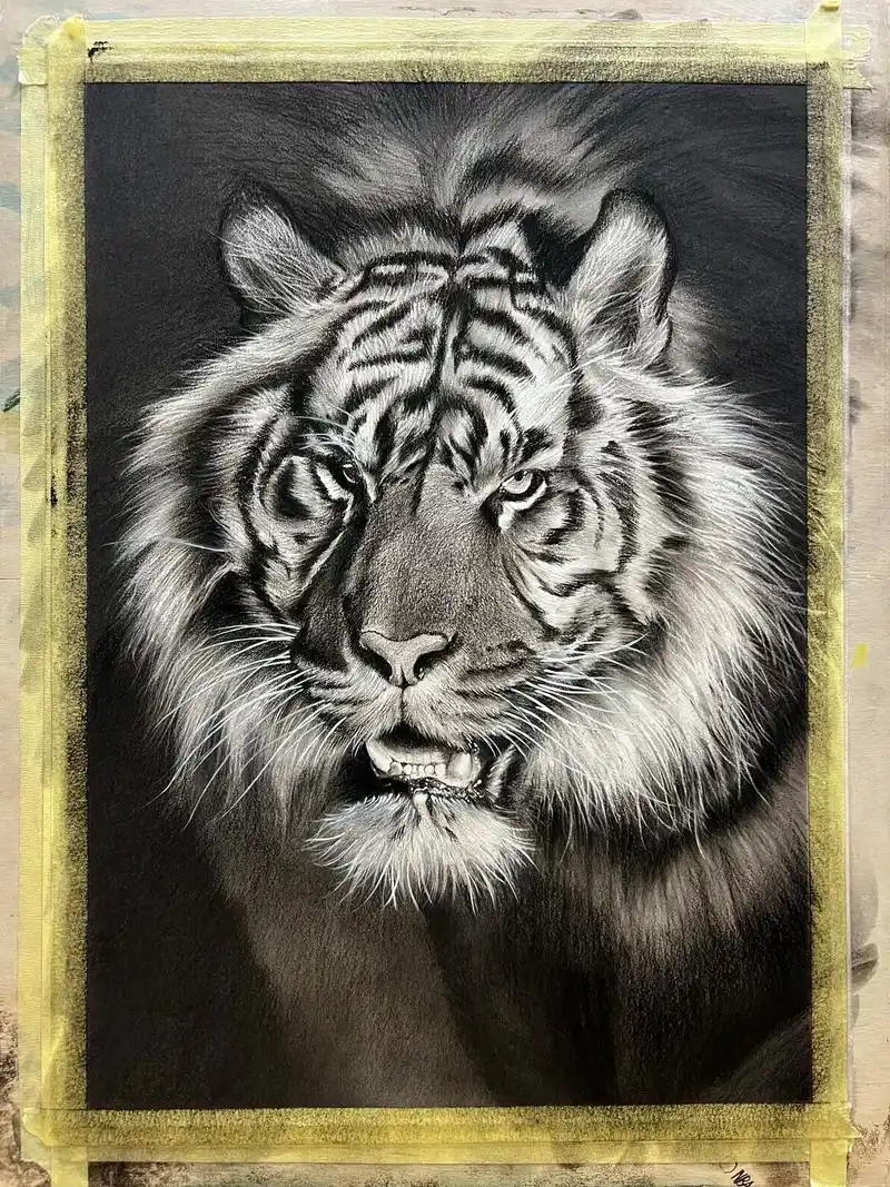 精微素描老虎全过程#手绘 #素描动物 #老虎的画法 #日常瞎 - 抖音