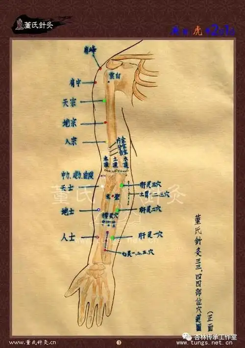 董氏奇穴特针赋及穴位图谱大全_肾关