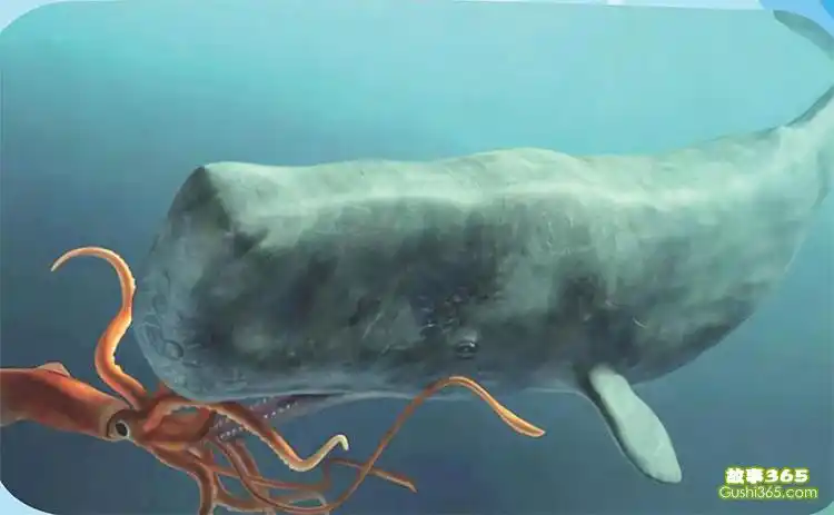 抹香鲸战大章鱼