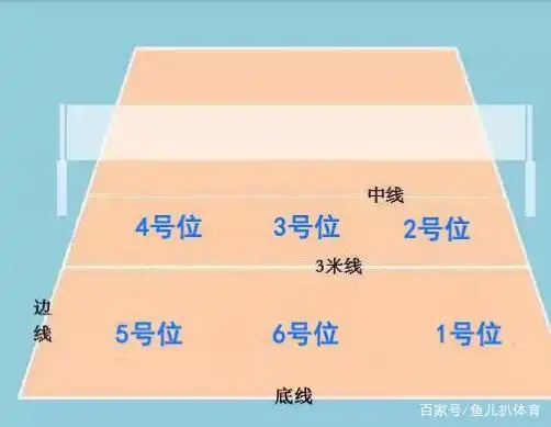 排球比赛中连击,持球,站位等专业术语你知道多少?