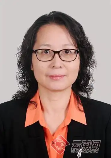 云南公示孙灿吴剑洪维智唐开荣陈选良等9人图简历