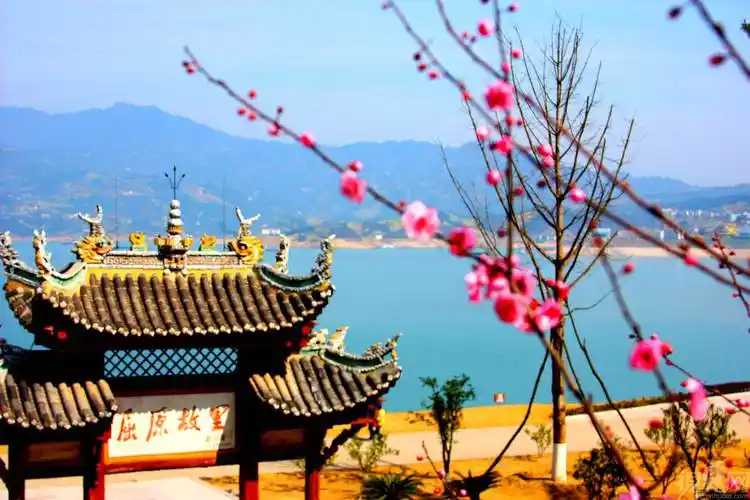 突出屈原故里文化底蕴,增加文化内涵,把秭归县丰富的历史文化,民俗