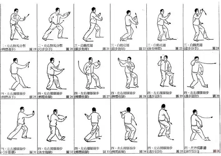 陈氏太极拳24式分解图
