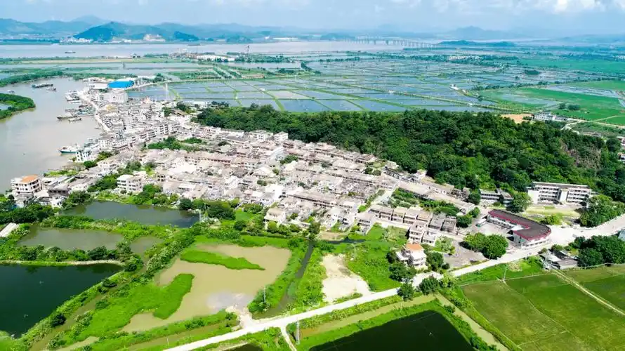 台山1镇10村入选广东"百千万工程"首批典型县镇村名单_发展_街道_斗山