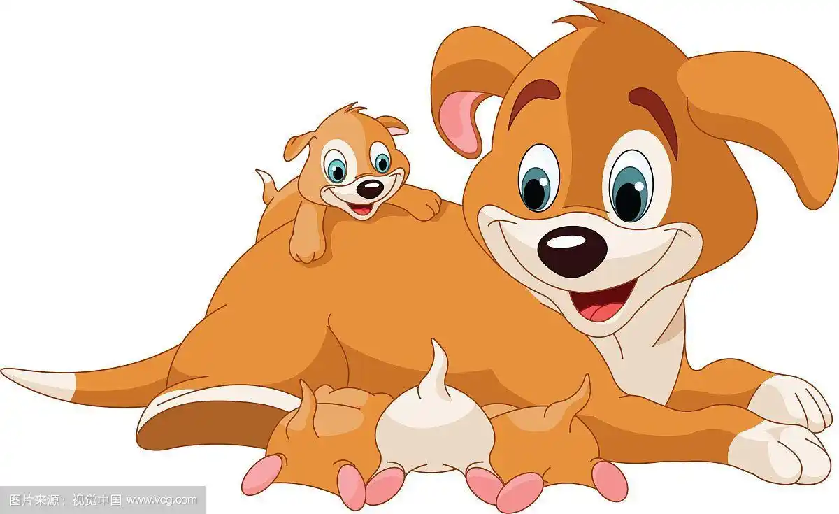 狗妈妈给可爱的小狗喂奶