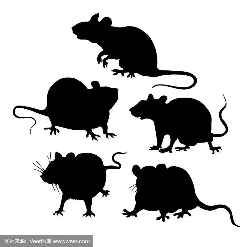 老鼠的黑色剪影.矢量插图.