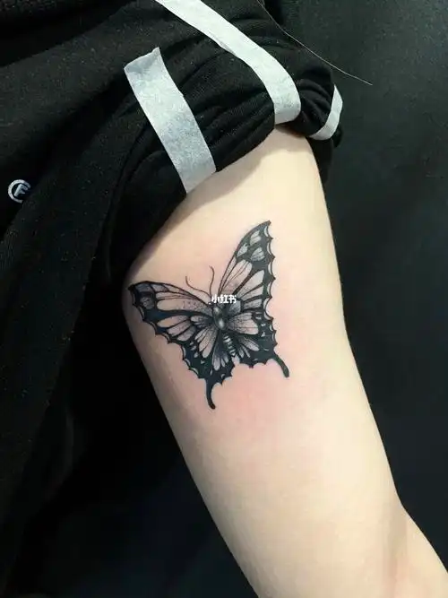 用蝴蝶图案遮盖英文字母(大臂内侧)_gogo街区攻略_纹身_我的纹身分享