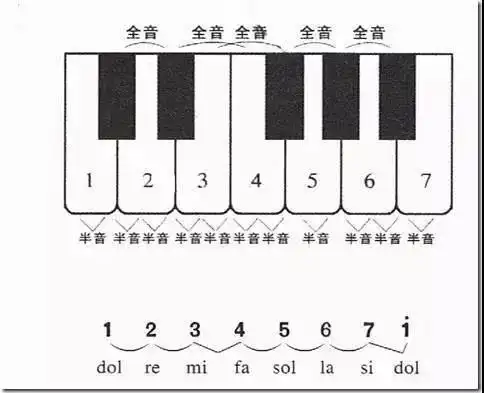 钢琴上相邻的两个琴键之间的距离称为半音.