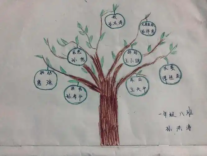 通川区实验小学一年级八班孩子们绘画的族谱树第二期