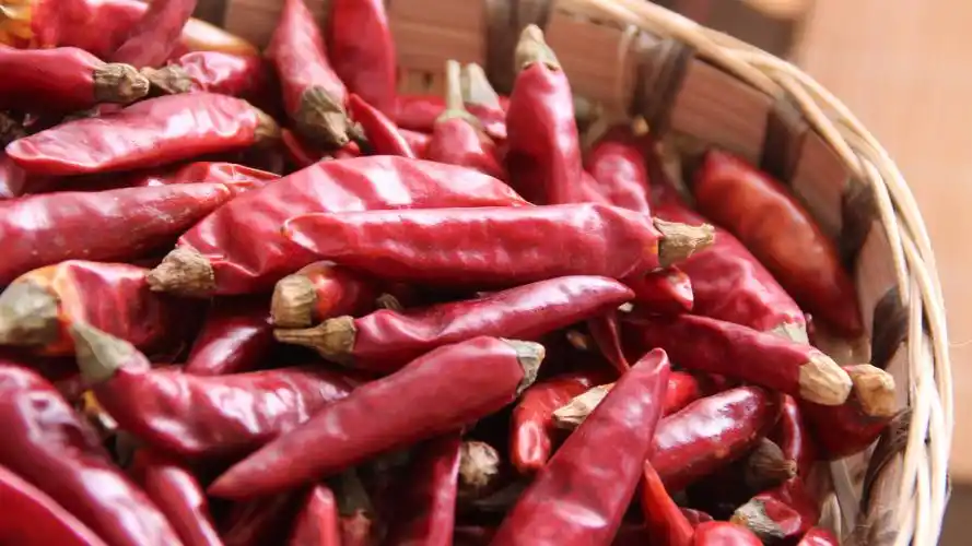 红红的干辣椒