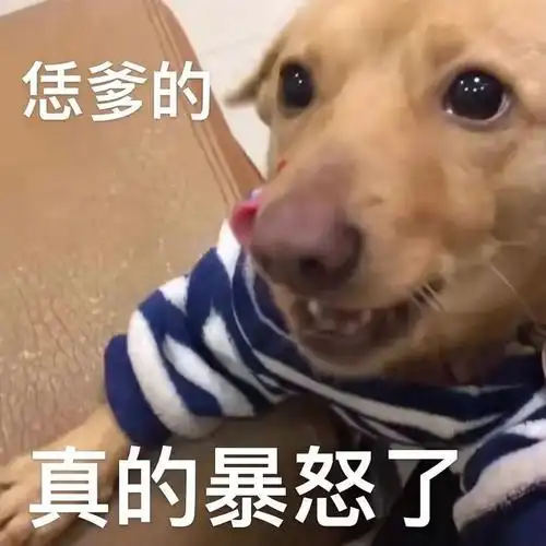 聊天搞笑表情包:爱宝回来吧 拿图请顺便吱一声 很难有动力发图了