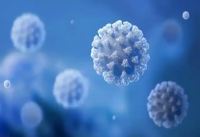 的却是大范围的感染高峰,一时之间可能80%以上的人都感染上了新冠病毒