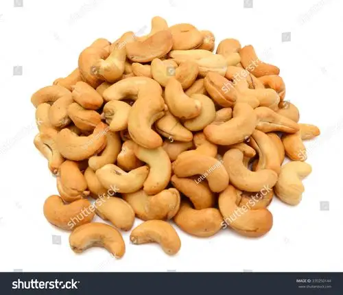 cashew nut salty roasted food ingredient natural isolated white