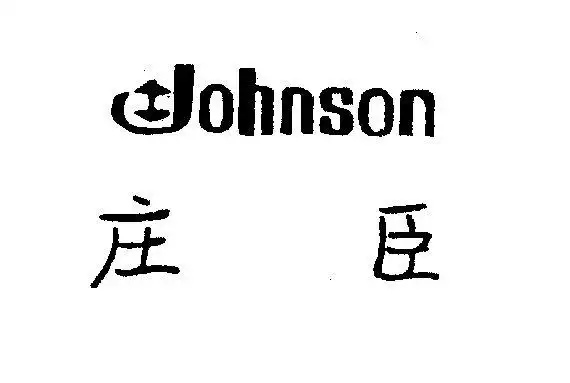 em>johnson /em>  em>庄臣 /em>