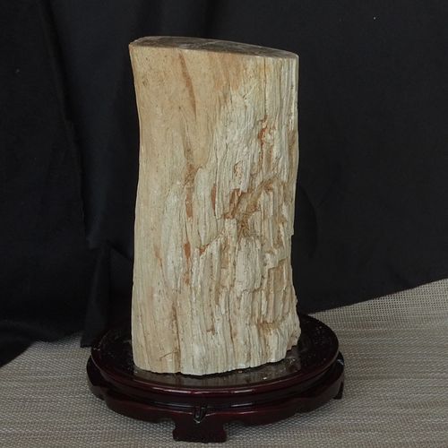 千蕊天然树化石树化玉摆件原矿 木化石硅化木 原石皮 一物一图