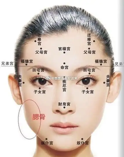 人脸上有十二个宫位,从这些宫可以看出一个人一生的成败,包括财运