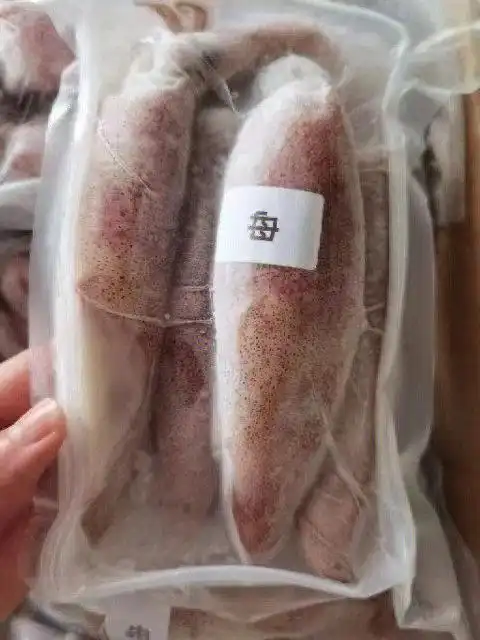 鱿鱼,纯母,天然母鱿,膏籽爆满.酒店餐厅私厨专用