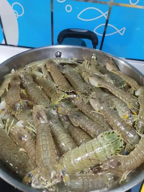 蒸虾爬子庄河话蒸皮皮虾普通话