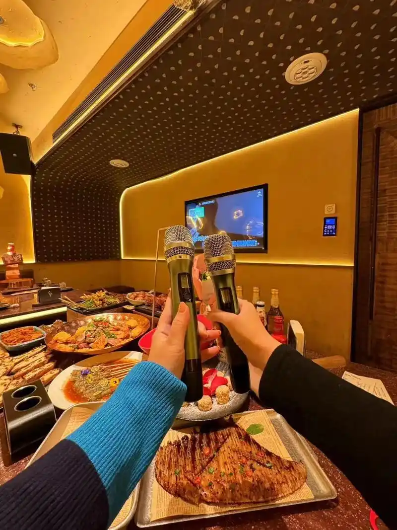 野人部落 ktv音响全新升级给你带来不一样的唱歌感受