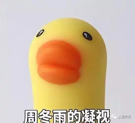 周冬雨为什么叫小黄鸭周冬雨为什么没有胸