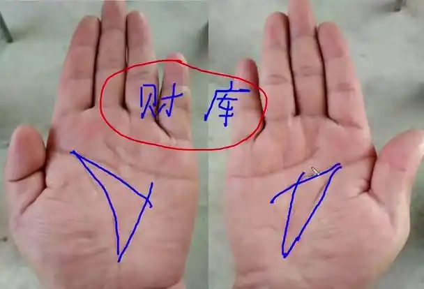 手相图解男大富大贵_男人大富贵手相_富贵的手相男