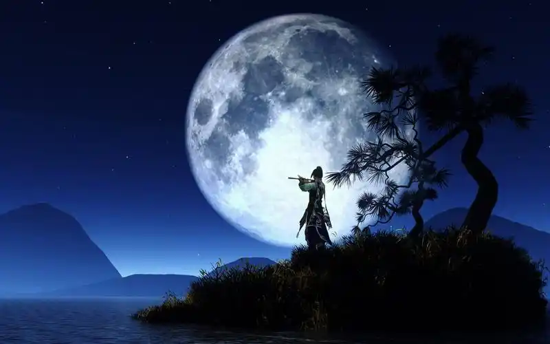 曾走过路依然如昨只是身边再无你