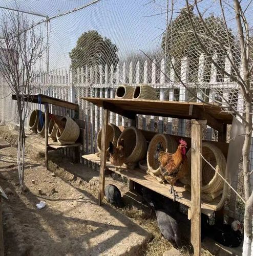 鸡窝草编家用户外室外母鸡下蛋防侧鸽子稻草其他