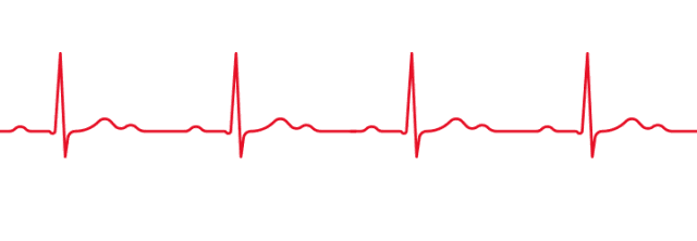 640_222gif 动态图 动图