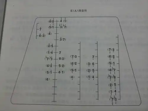 2010-10-16 急求402扬琴的音位音阶图!