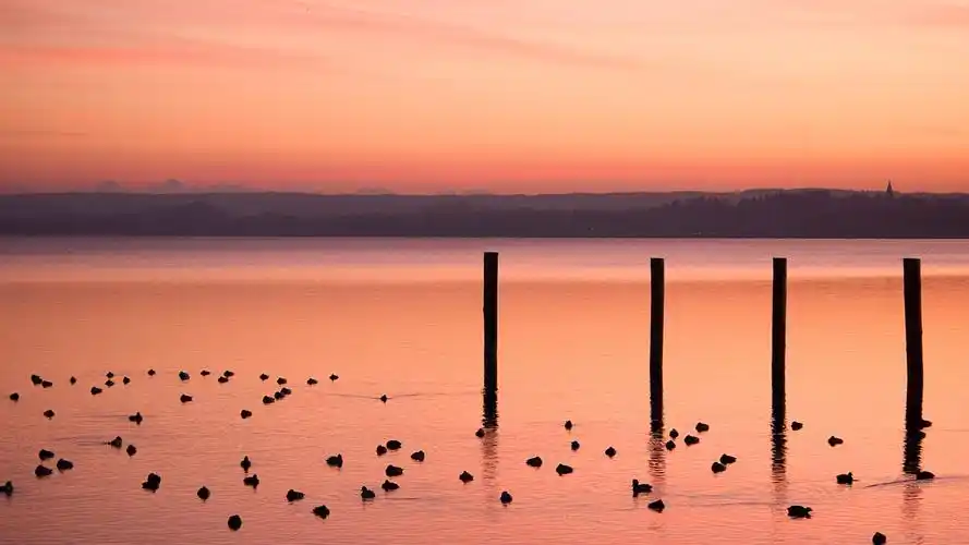 美丽的夕阳湖-风景高清壁纸-1920x1080下载