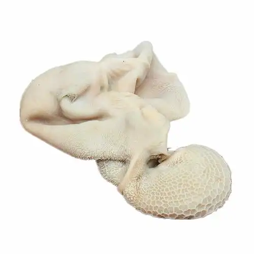 山羊熟羊现煮新鲜羊肚肚胃内脏下水下货另有其它