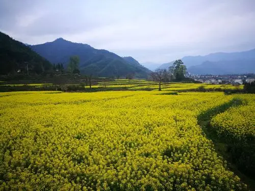 最美皖南风景线