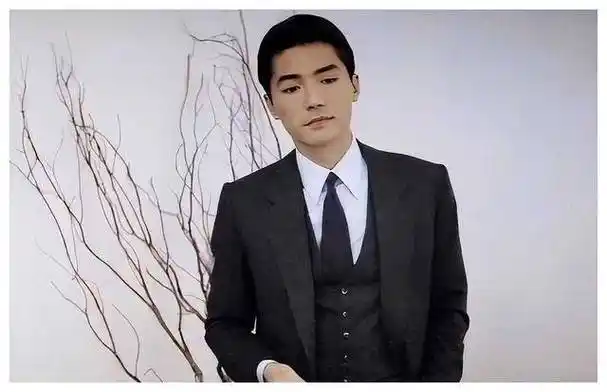 尊龙传奇美颜与智慧的盛世风采感受非凡魅力