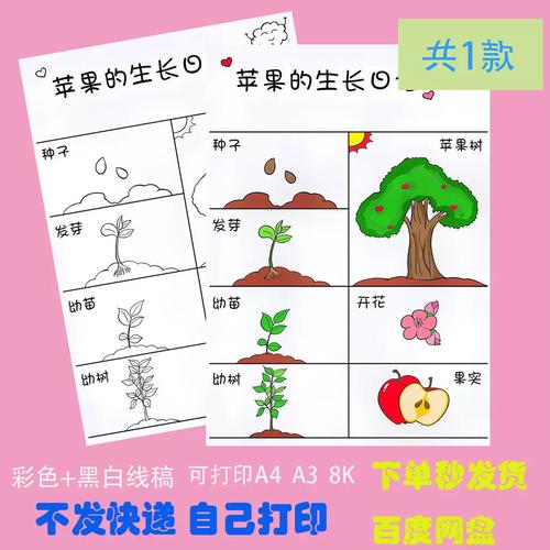 苹果生长笔记手抄报模板学生记录观察植物成长自然笔记电子版