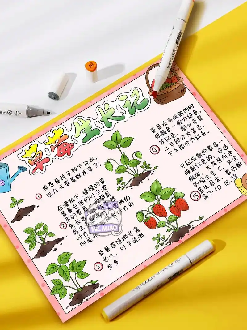 植物手抄报 #观察日记手抄报  - 抖音