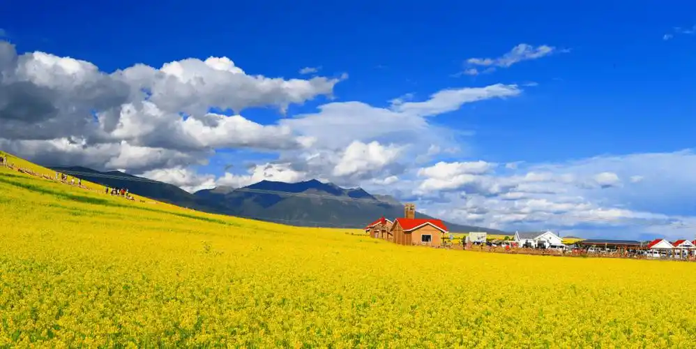 引进高校优秀应届毕业生专场宣讲活动】青出于蓝 名扬四海—大美青海