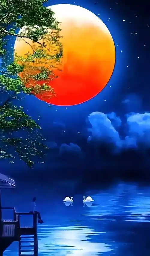 八月十五月圆时