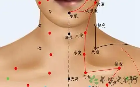 脖子前面有什么穴位