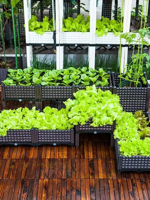 楼顶立体多层种植箱屋顶长方形塑料种菜箱创意花盆家庭阳台种菜盒