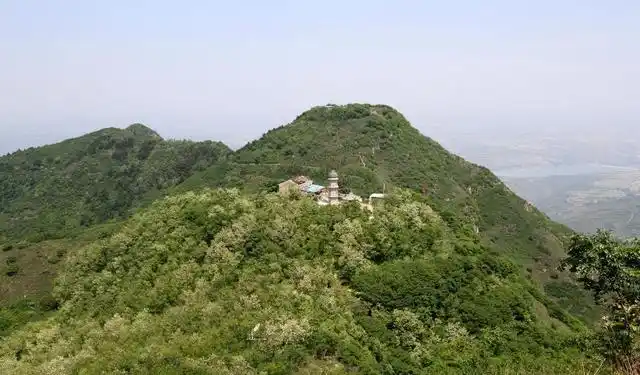 三原嵯峨山,麦田,杨树与油菜花,绘出关中北缘的春色
