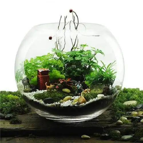 首先,选用体积较大的玻璃鱼缸或大口径的玻璃瓶罐,做栽植盆景的容器.