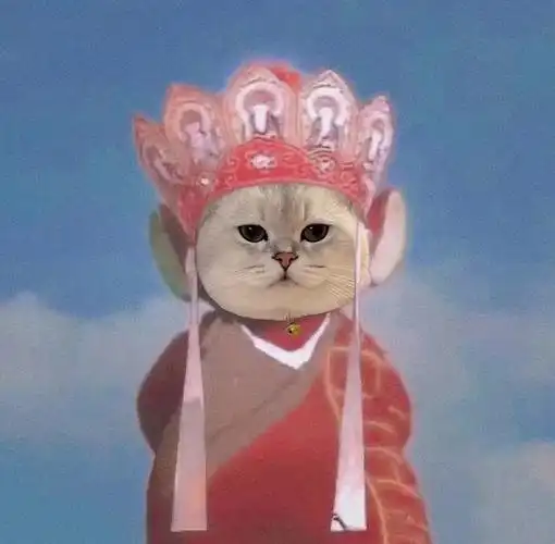 唐僧小猫咪好沙雕啊