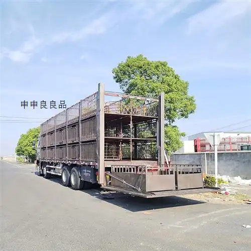 尾板新品4.2米猪笼车改装高栏装猪车垂直升降电动升降台