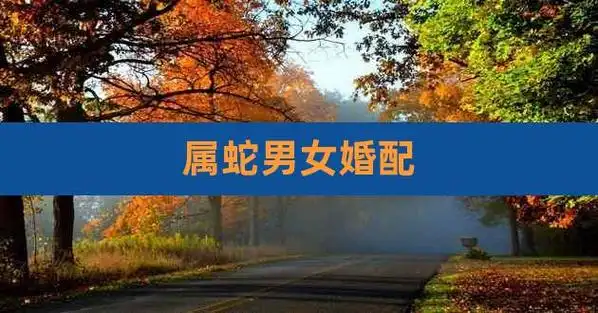 属蛇男女婚配,属蛇的上等婚配表