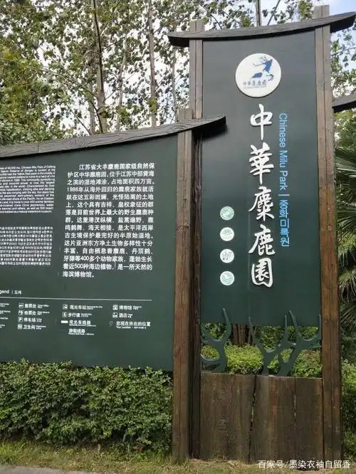 大丰拥有中华麋鹿园,为国家aaaaa级景区,依托于江苏大丰麋鹿国家级