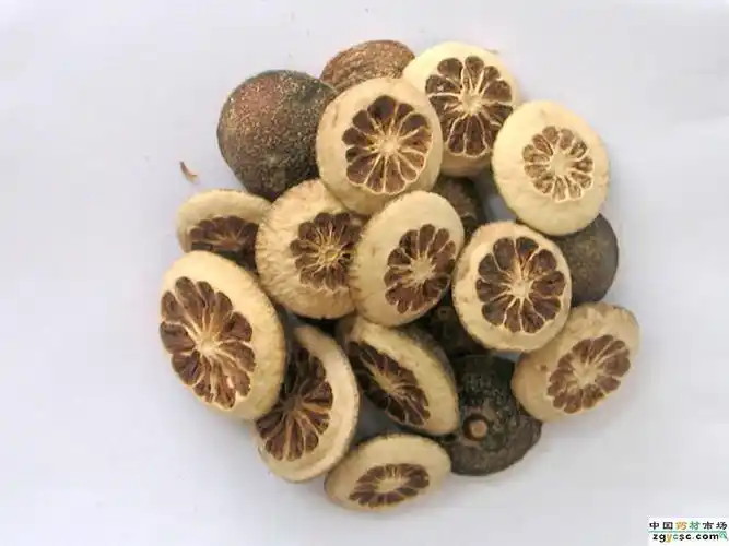 积壳词条图册_百度百科