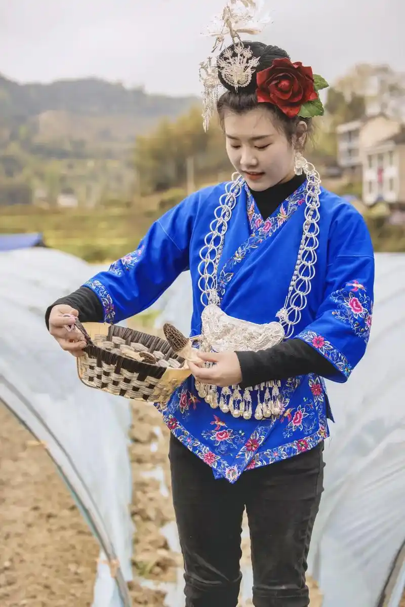 苗族服饰在色彩上的搭配以及刺绣真是越看越美.