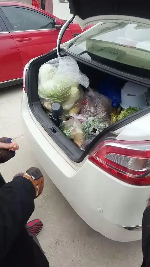 回家之前,后备箱塞满一车的蔬菜